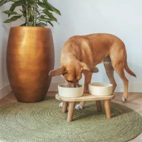 AVA | Premium Oak Dog Feeding Station