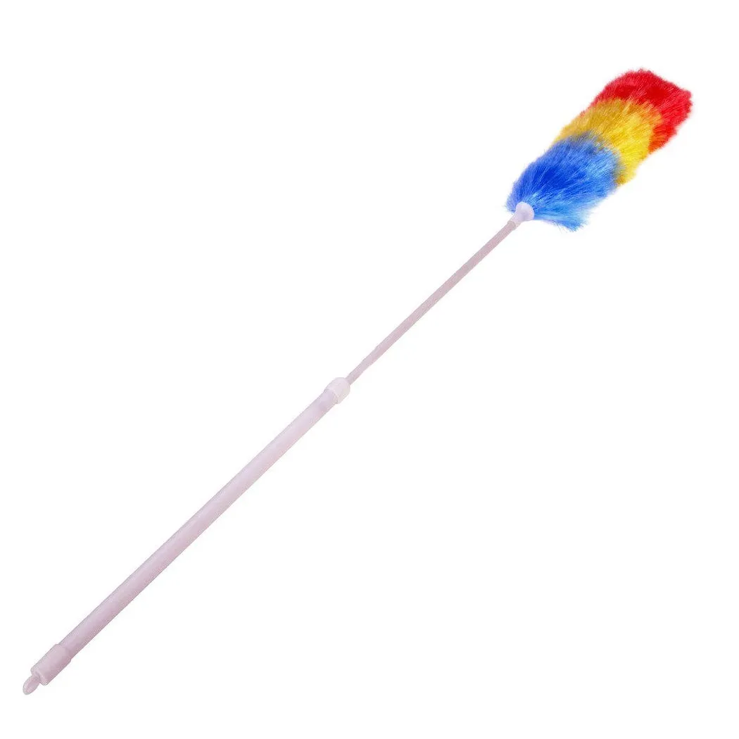 Telescopic Rainbow Duster